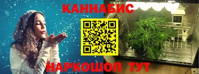 СК Пугачёв