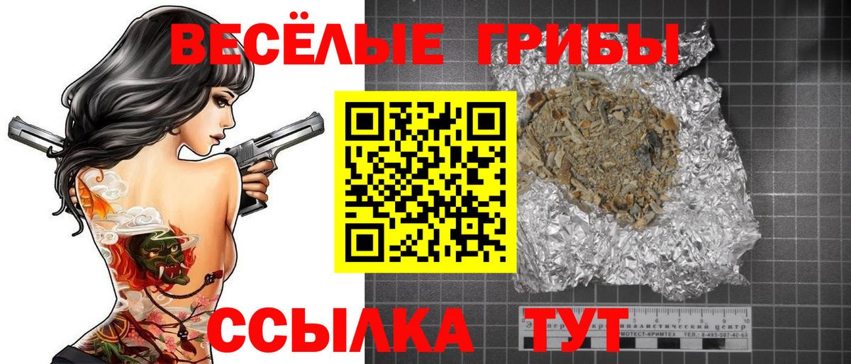 Солнечногорск  Псилоцибиновые грибы Cubensis  Вход с VPN 